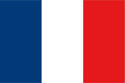 Drapeau France 100 x 150 cm - véritable drapeau Français en tissu :  Promociel