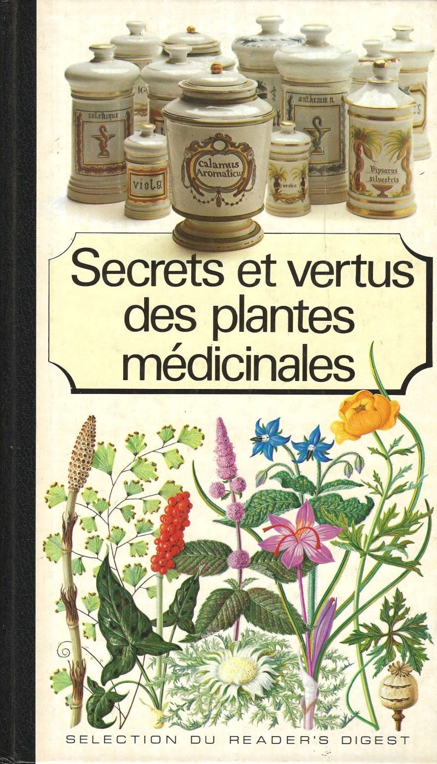 Secrets Et Vertus Des Plantes Médicinales Terres Celtiques 